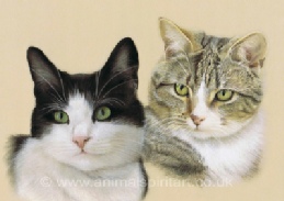 Click here to go to the Cat Portraits Gallery