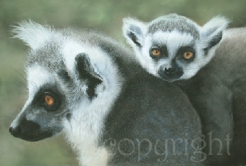 ringtailed-lemur-painting.jpg