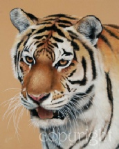 amur-tiger-painting.jpg