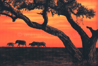 elephants-on-African-skyline.jpg