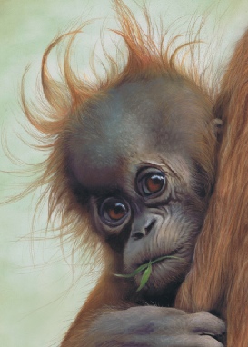 Click here to go to the Wildlife Paintings Gallery