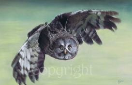 Click here to go to the Bird Paintings Gallery