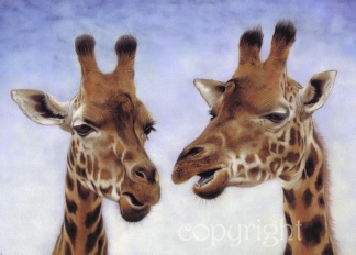 giraffe-pastel-wildlife.jpg