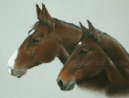 Click here to go to the Equine Paintings Gallery