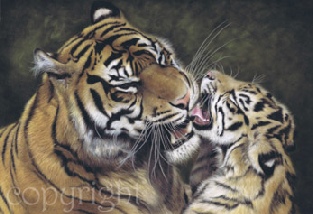 tiger_and_cub.jpg