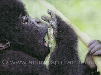 baby-gorilla-wildlife-art