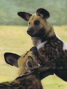 painted-dogs.jpg