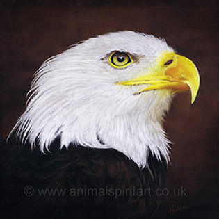 bald-eagle-painting.jpg