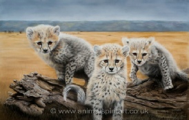Click here to go to the Wildlife Paintings Gallery