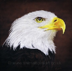 Bald-Eagle-painting.jpg