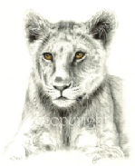 lion cub painting