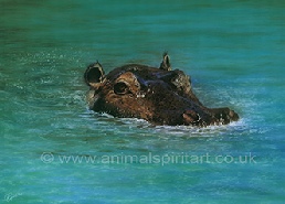 Hippo painting
